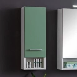 Armoire Murale Ricca 25cm 1 Porte - Blanc/vert