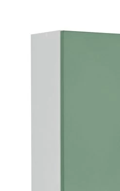 Armoire Murale Ricca 25cm 1 Porte - Blanc/vert -Magasin De Meubles 011.2032 6a a4a1