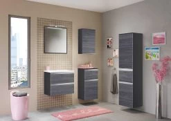 Miroir Lotuk 60cm Avec éclairage - Chêne Gris -Magasin De Meubles 027.1.3186 3 2eeb