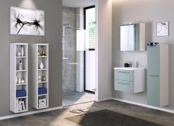 Colonne Gene 30cm 1 Porte - Blanc/vert -Magasin De Meubles 547.0134 3 1 36b0