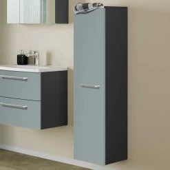 Colonne Gene 30cm 1 Porte - Gris Graphite/vert Fjord