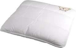 Oreiller Enfant Petit Ours