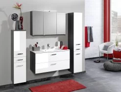 Colonne Bobbi Basse 30cm 2 Portes Et 1 Tiroir - Graphite/blanc Brillant -Magasin De Meubles Bologna Milieu B3 3 e0ef