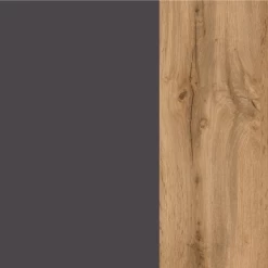 Armoire Colonne Karan 37cm 1 Porte - Chêne/anthracite 14 Armoire Colonne Karan 37cm 1 Porte - Chêne/anthracite -Magasin De Meubles Ontwerp zonder titel 2022 06 22T082600.961 83b7